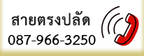 สายตรงปลัด